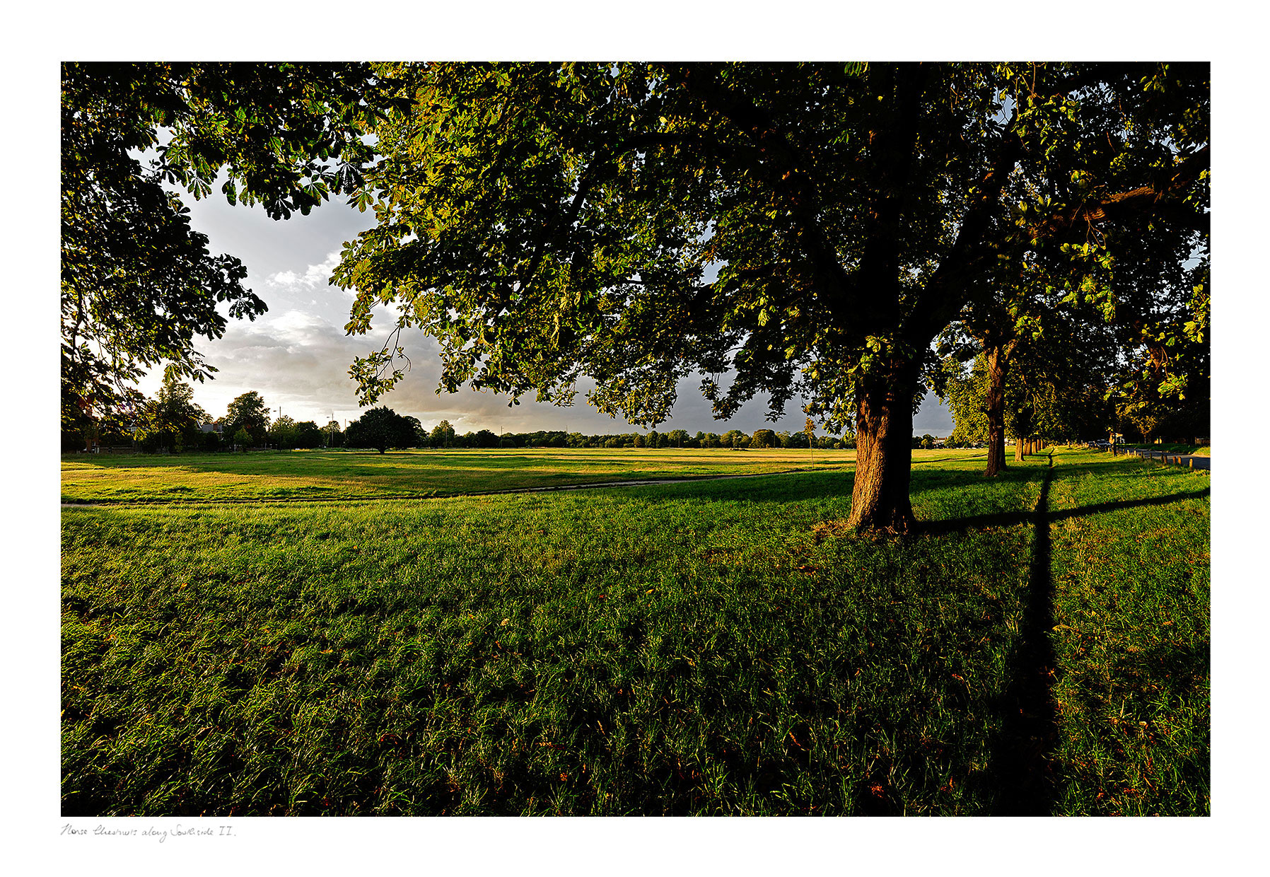 photograph of southside wimbledon common by professional landscape photographer patrick steel