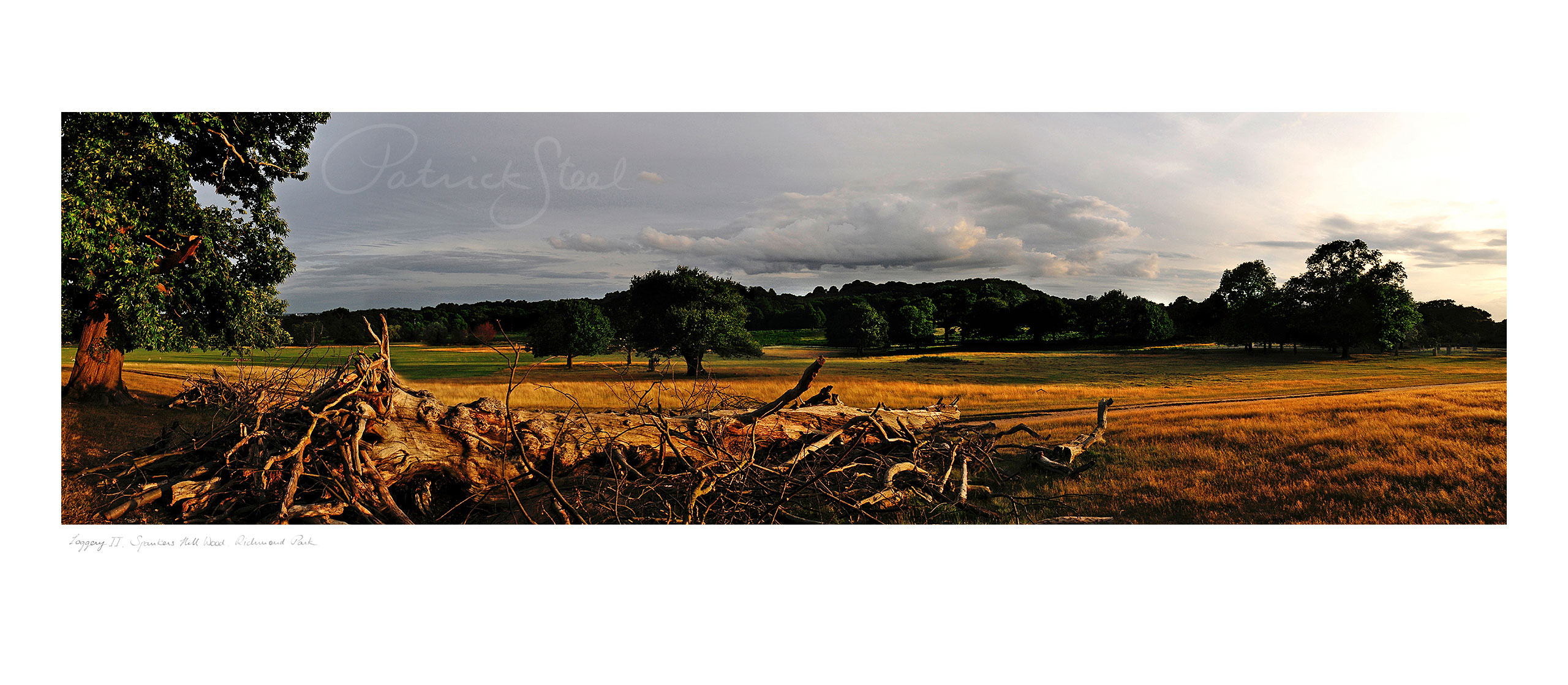 Landscape Photograph of Richmond Park : Loggery II, Spankers Hill Wood