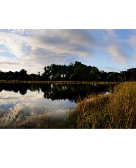 Landscape Photography of Richmond Park : Lower Pen Pond at Sunset