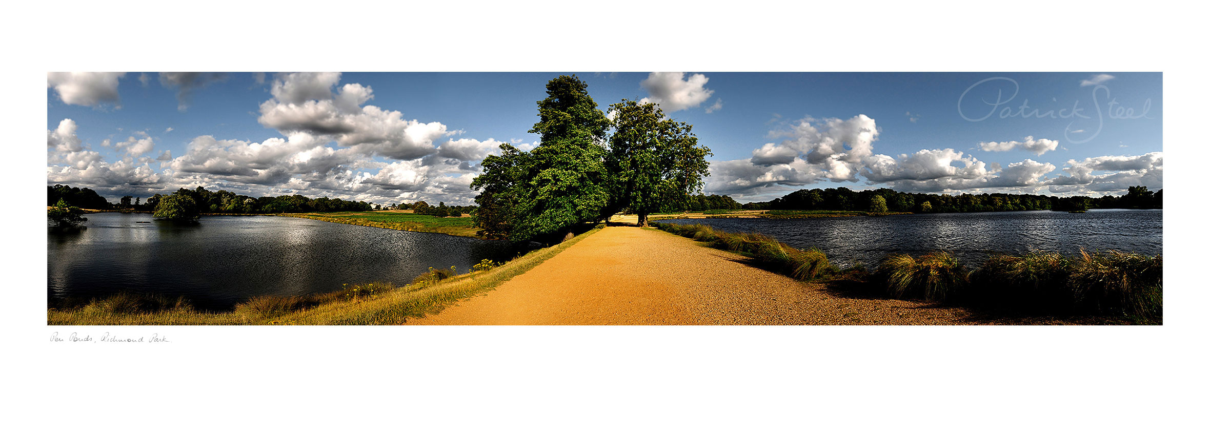 Landscape Photography of Richmond Park : Pen Ponds