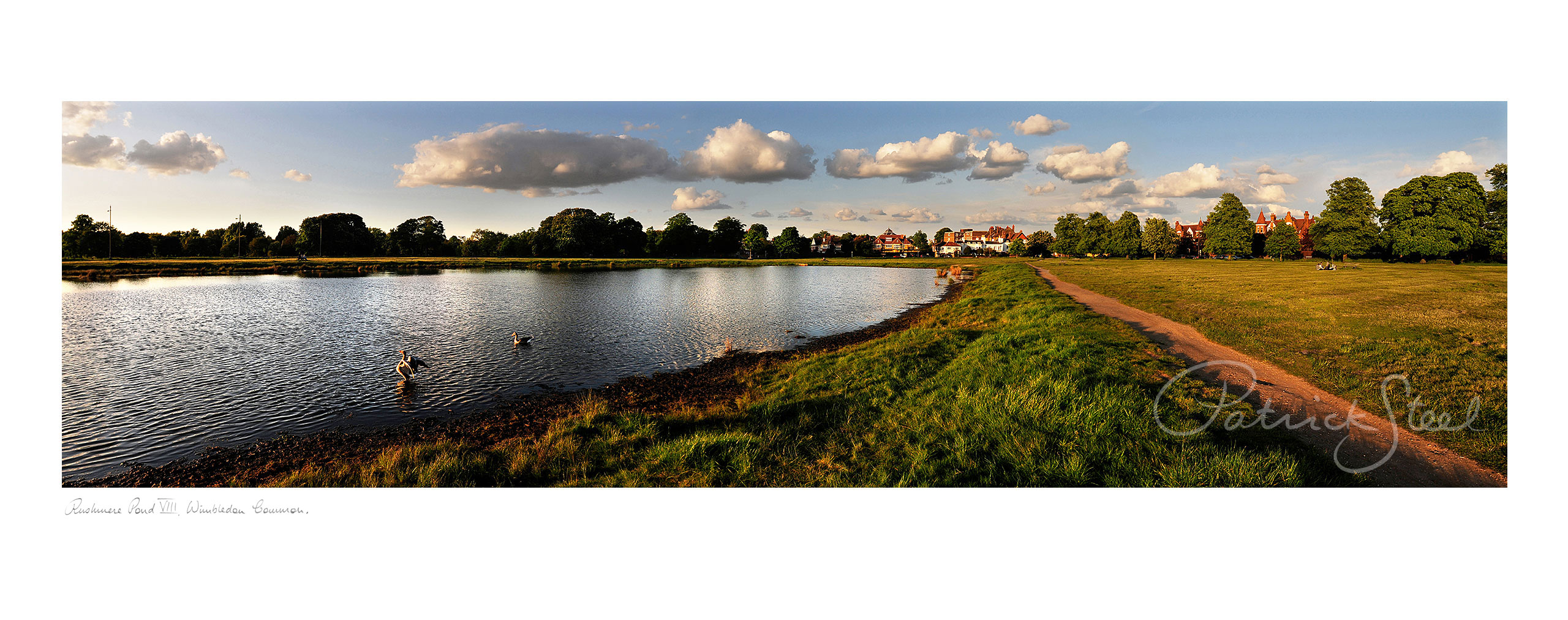 photograph of rushmere pond by landscape photographer patrick steel