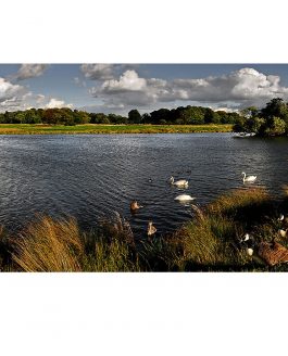 Landscape Photography in Richmond Park : Lower Pen Pond