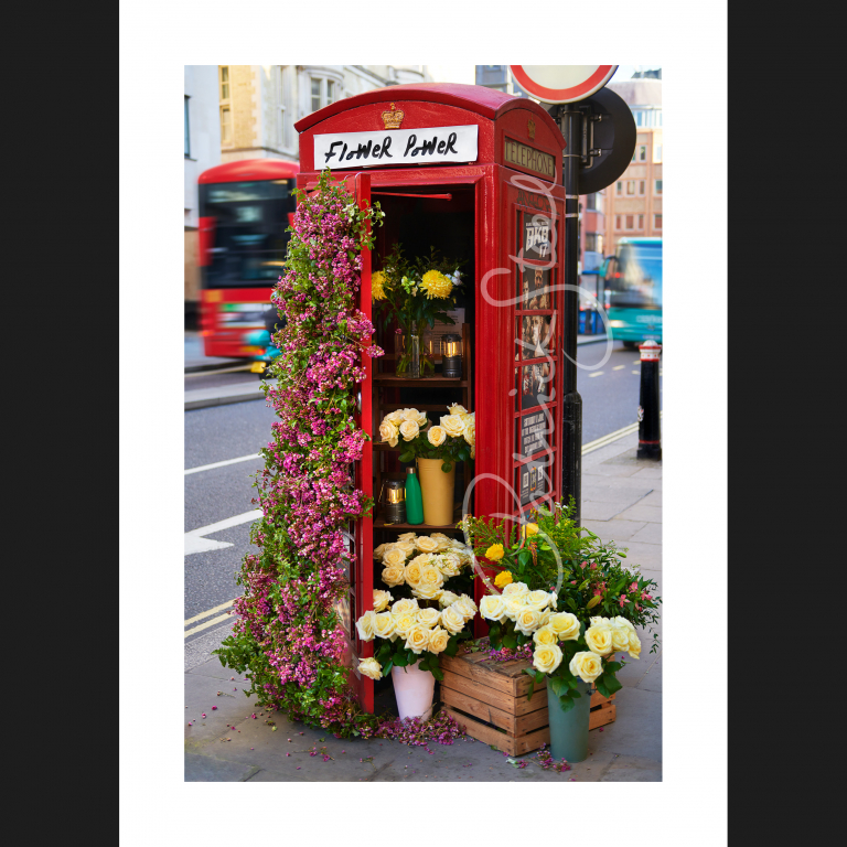 limited edition photograph of flowers in a red telephone box london by british photographer patrick steel