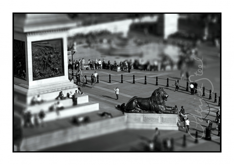 limited edition photograph of a landseer Lion trafalgar square london by british photographer patrick steel