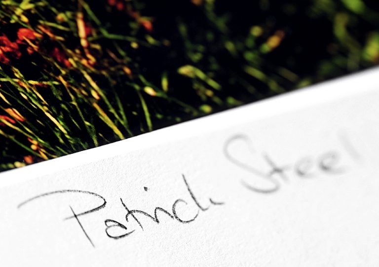 image of patrick steel's signature in pencil