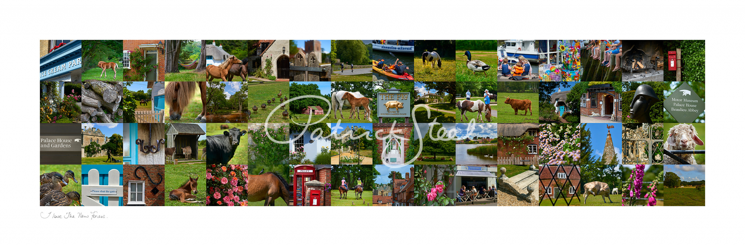 limited edition photographic montage of the new forest hampshire by photographer patrick steel