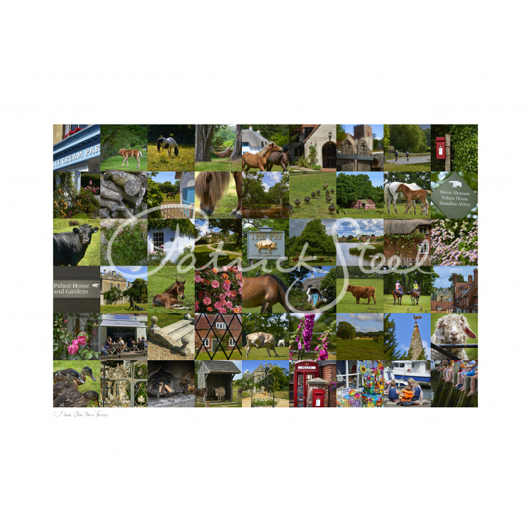 limited edition montage of the new forest by photographer patrick steel