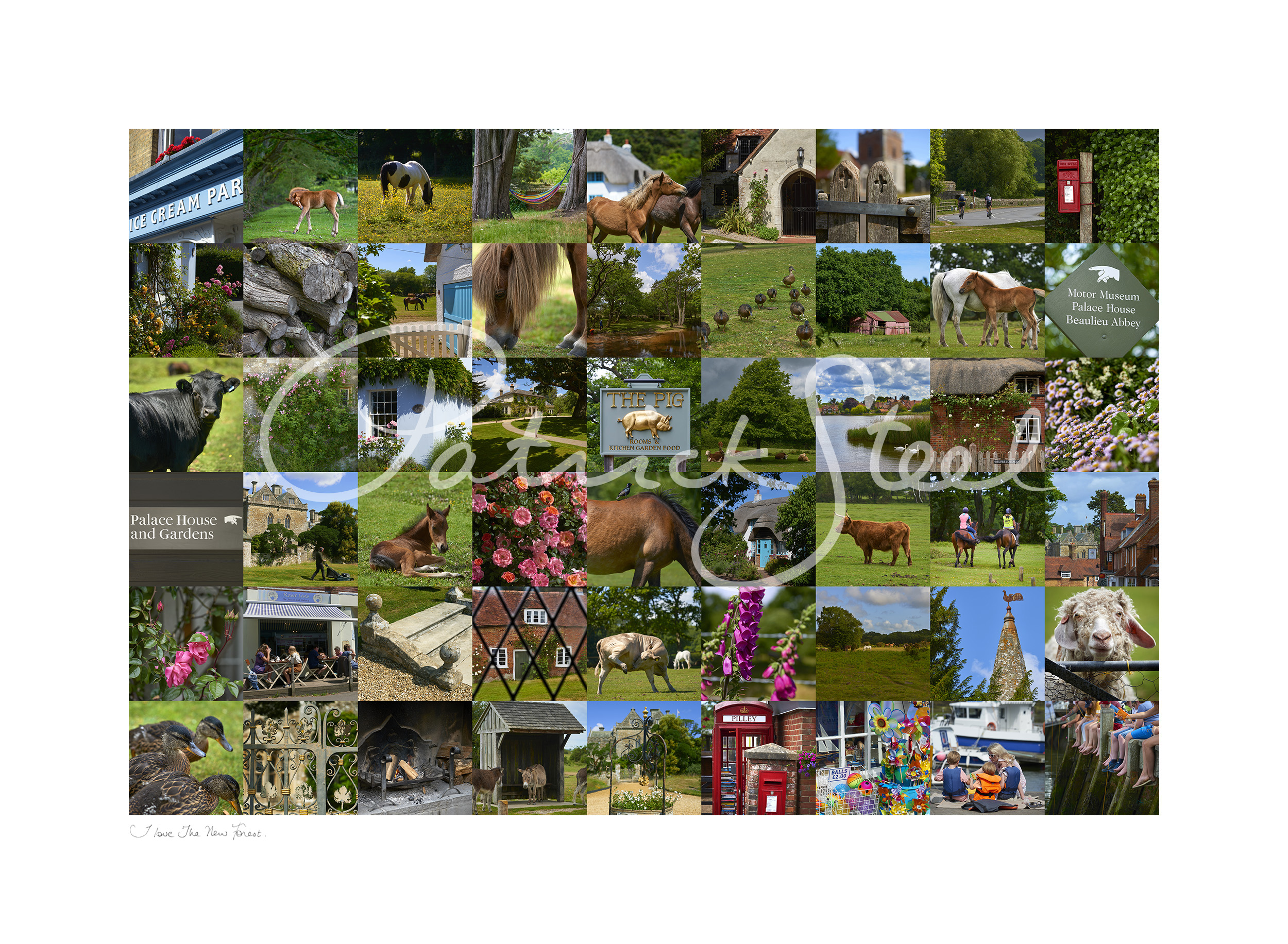 limited edition montage of the new forest by photographer patrick steel