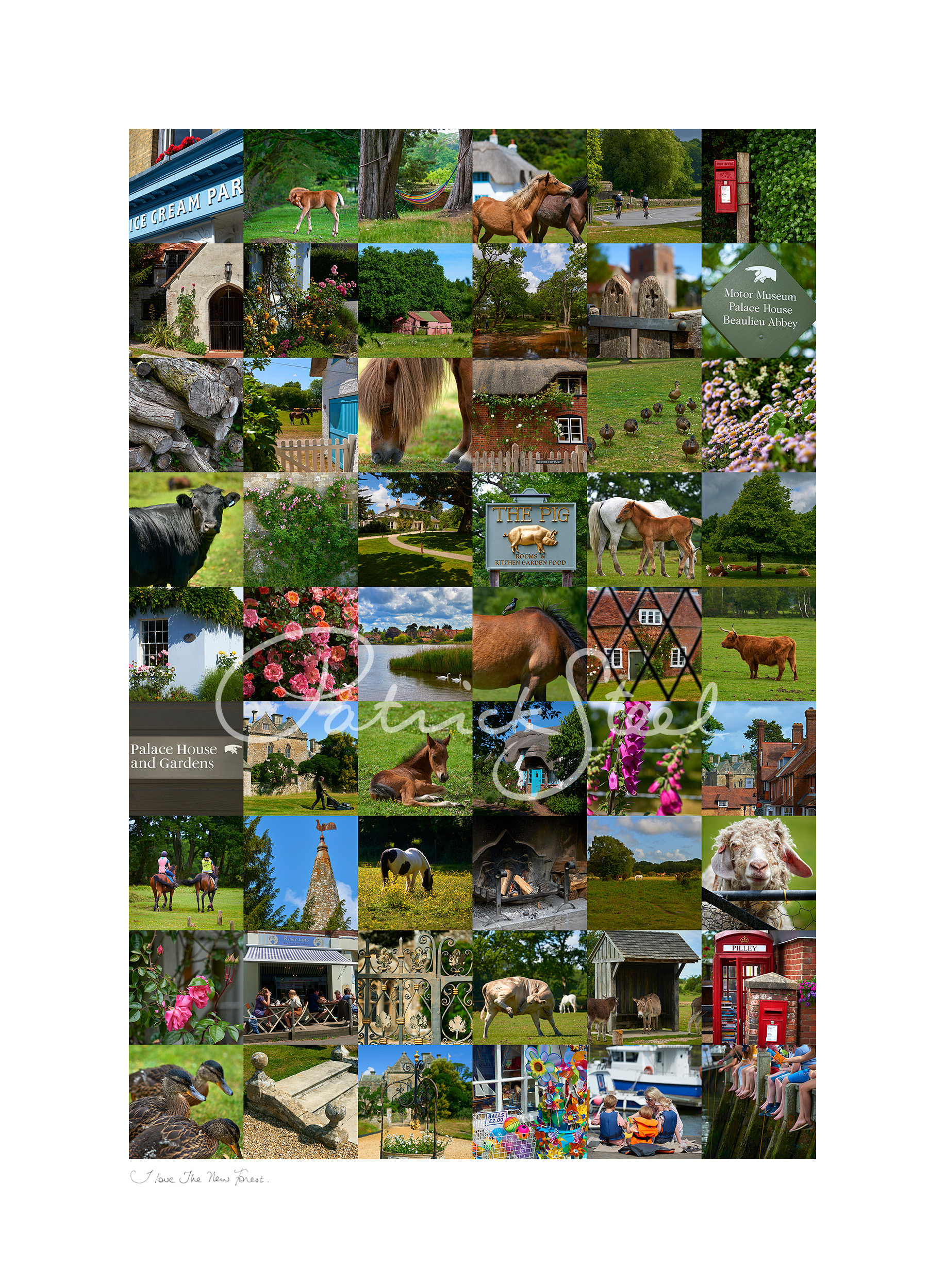 limited edition photographic montage of the new forest hampshire by photographer patrick steel
