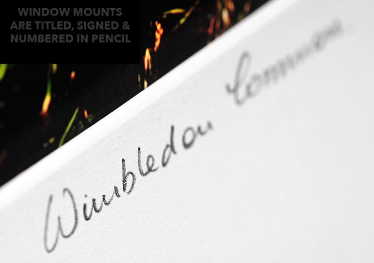 wimbledon common title sample